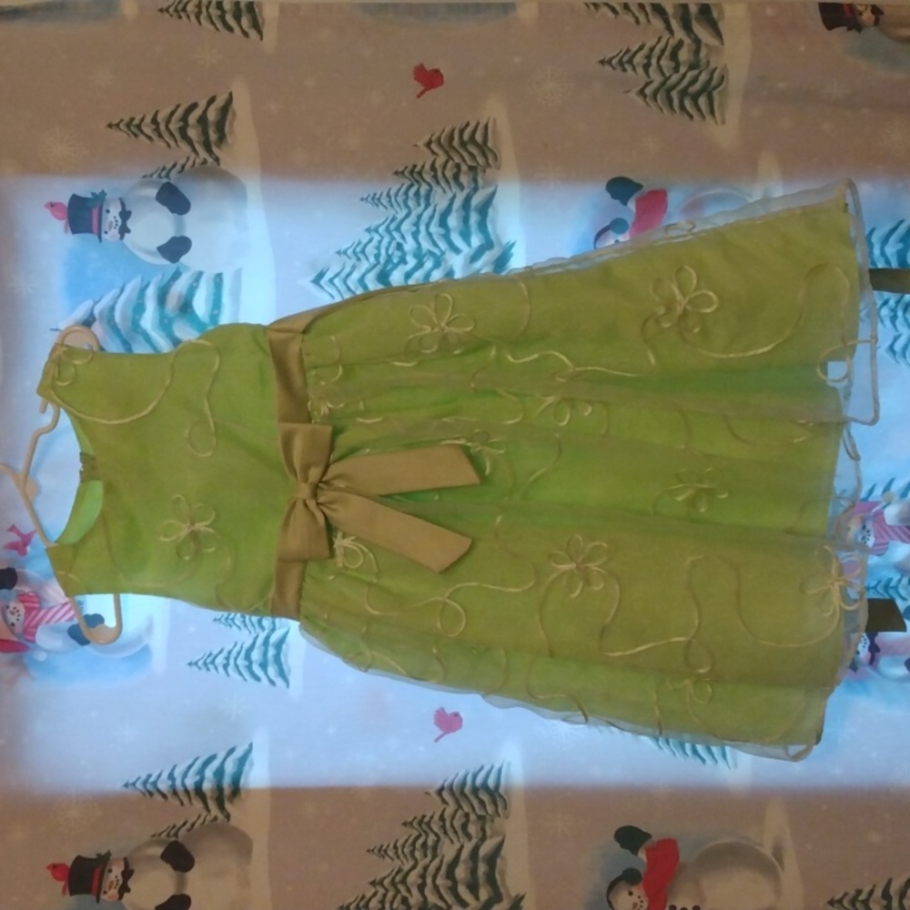 Girls fancy dress
